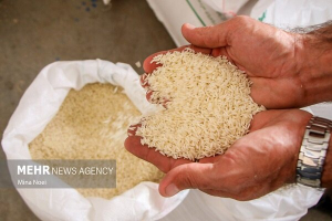 یک میلیون تن، کمبود برنج در بازار