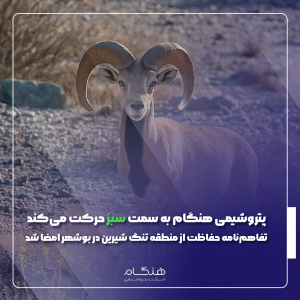 پتروشیمی هنگام به سمت سبز حرکت می‌کند