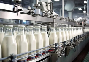 چشم انداز صنعت لبنیات در سال آینده با حذف احتمالی ارز ترجیحی