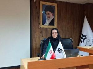 آسیب های سیستم تقنینی و اجرایی در ایران