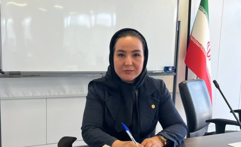 بررسی فرصت‌ها و چالش‌های سرمایه‌گذاری اتباع خارجی در ایران؛ از قوانین حمایتی تا موانع بین‌المللی